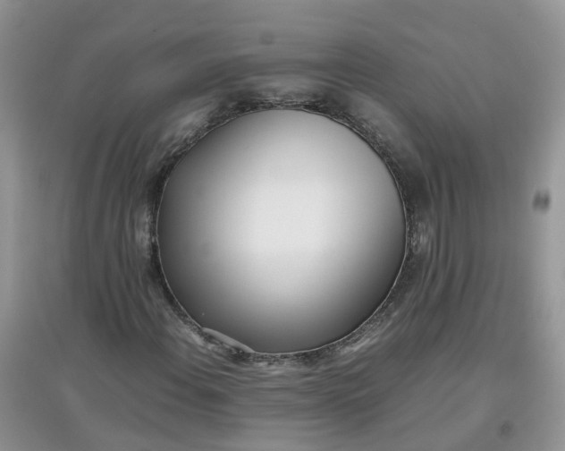 X0000097641108200803142040