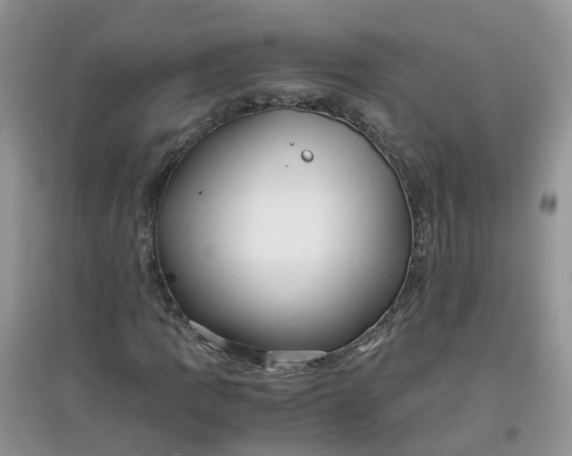 X0000097641109200803142040