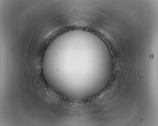 X0000097641110200803142040