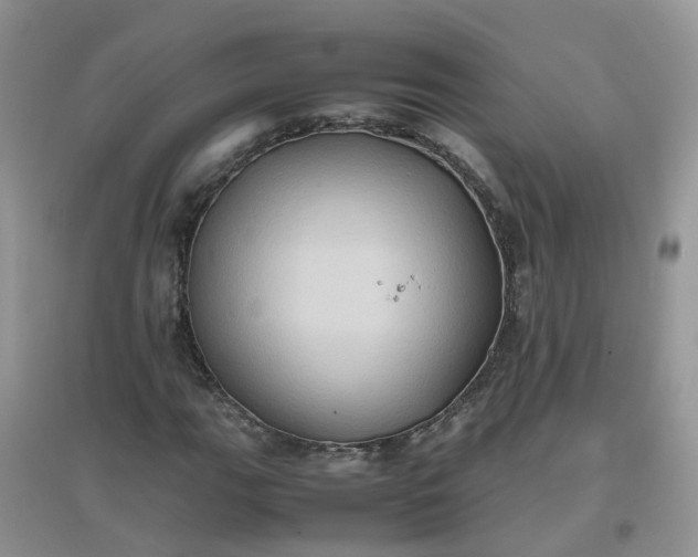 X0000097641111200803142040