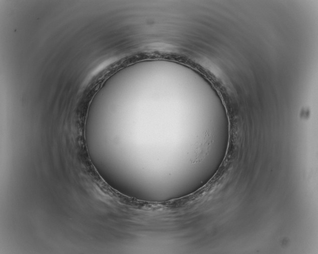 X0000097641112200803142040