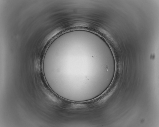 X0000097641113200803142040