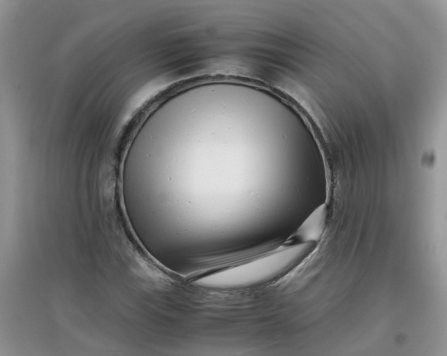 X0000097641115200803142040