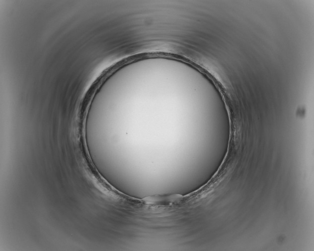 X0000097641116200803142040