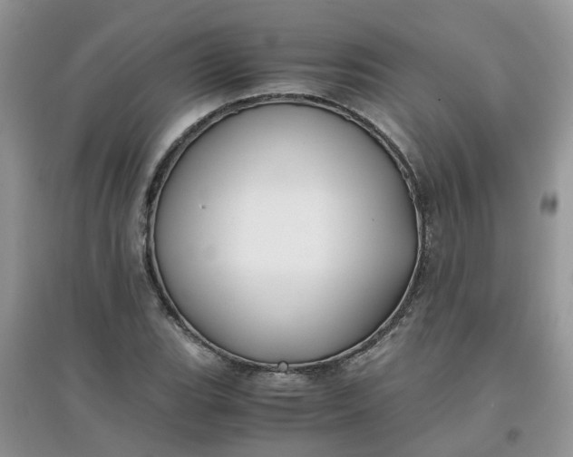 X0000097641119200803142040