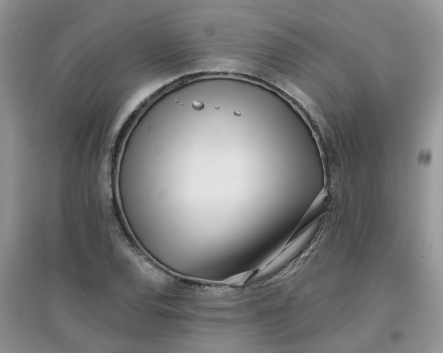 X0000097641120200803142040