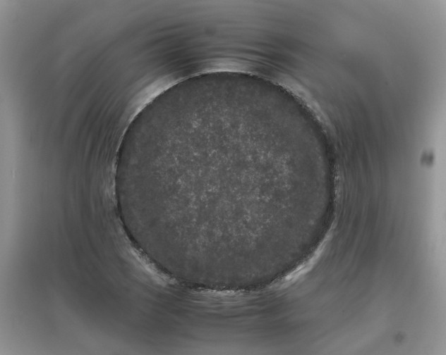 X0000097641121200803142040