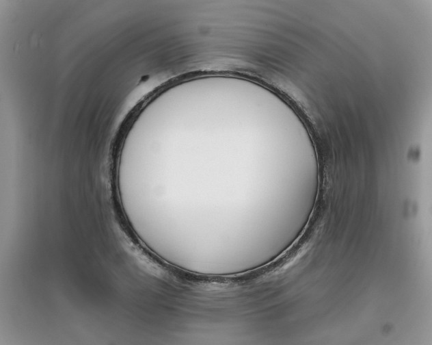 X0000097641122200803142040