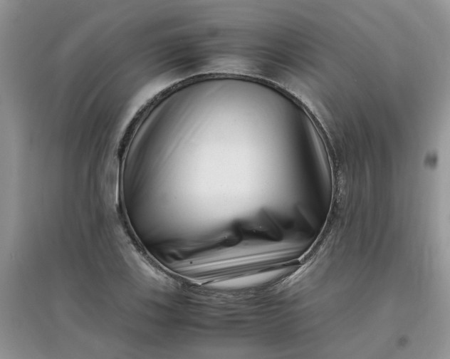 X0000097641123200803142040