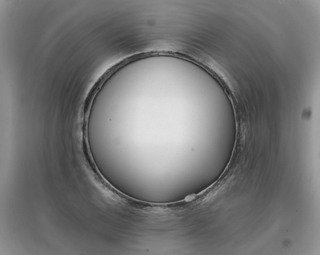 X0000097641124200803142040