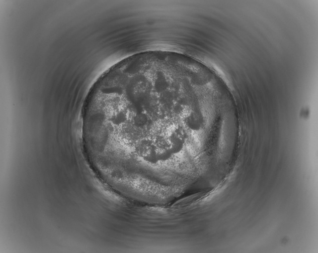 X0000097641125200803142041