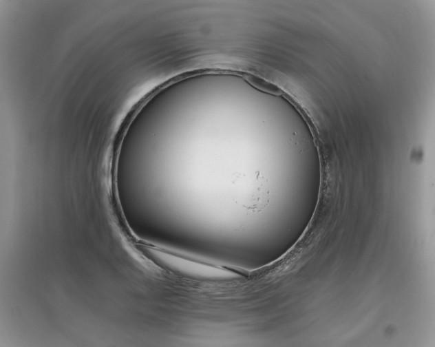 X0000097641128200803142041