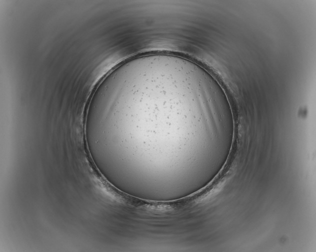 X0000097641129200803142041