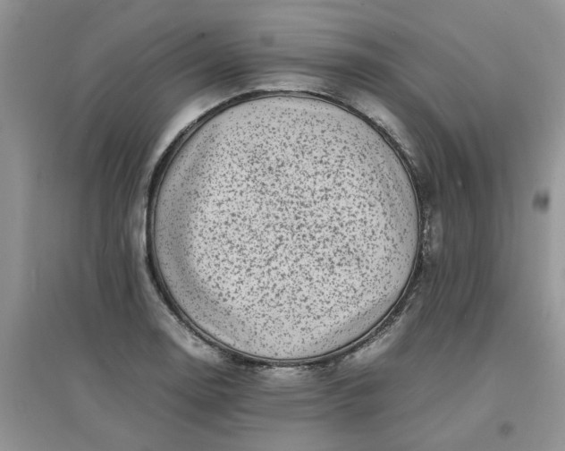 X0000097641130200803142041