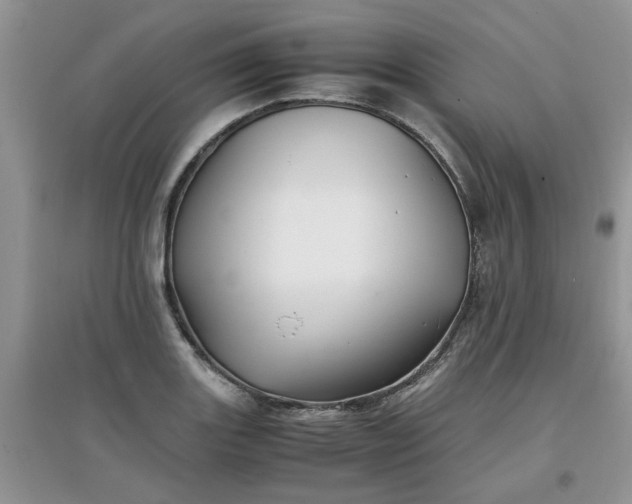 X0000097641131200803142041