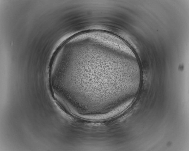 X0000097641133200803142041