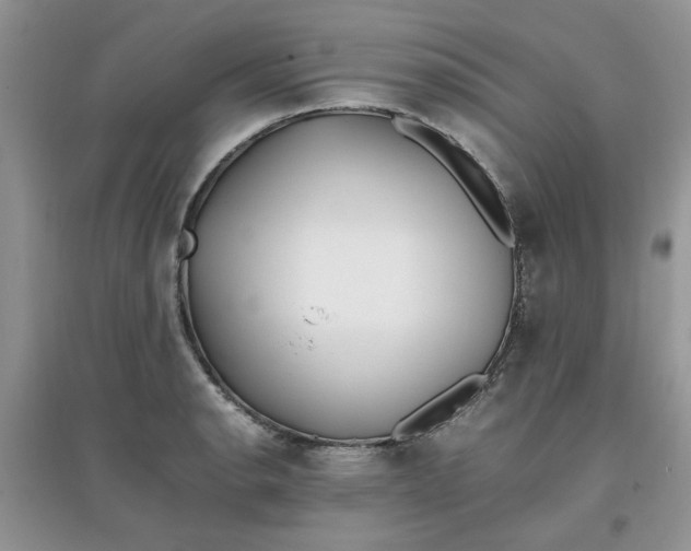 X0000097641134200803142041