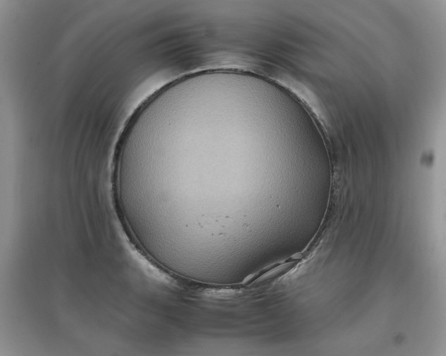 X0000097641135200803142041