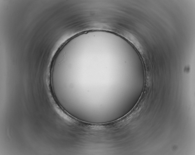 X0000097641136200803142041