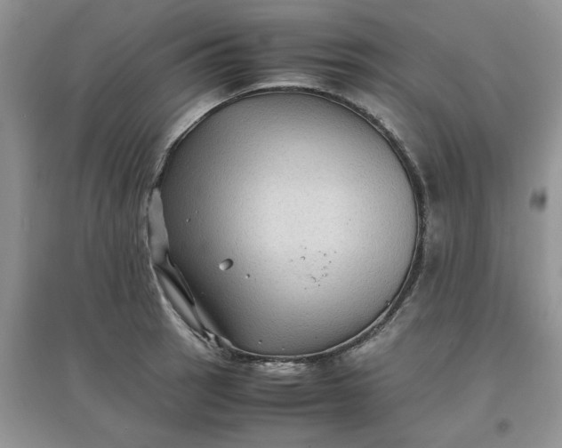 X0000097641137200803142041