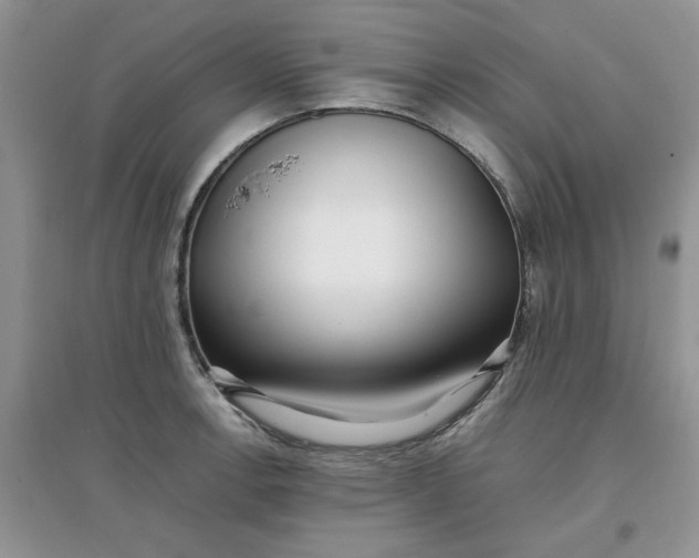 X0000097641138200803142041