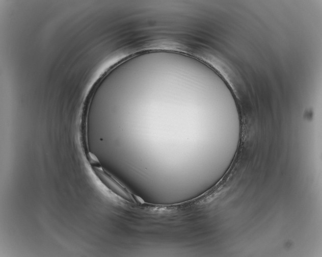 X0000097641139200803142041