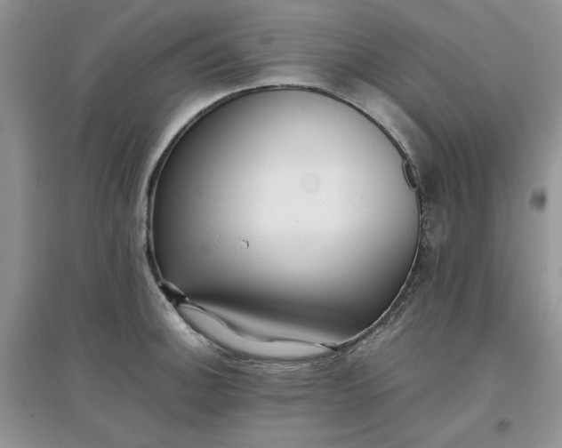 X0000097641140200803142041