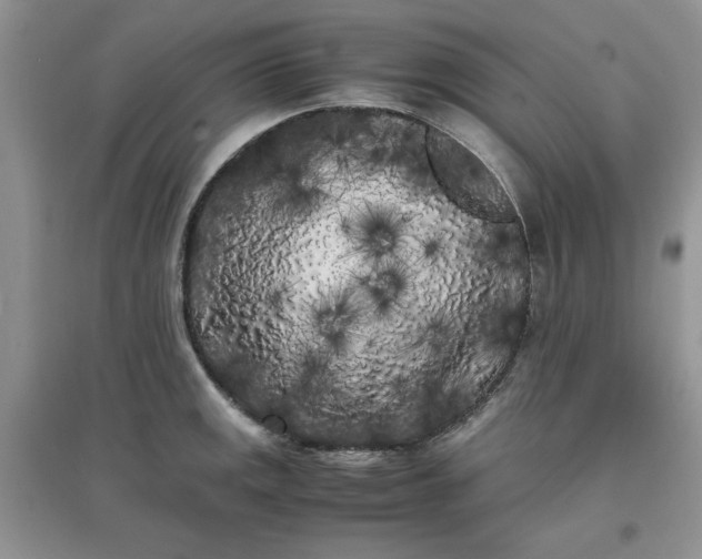 X0000097641141200803142041