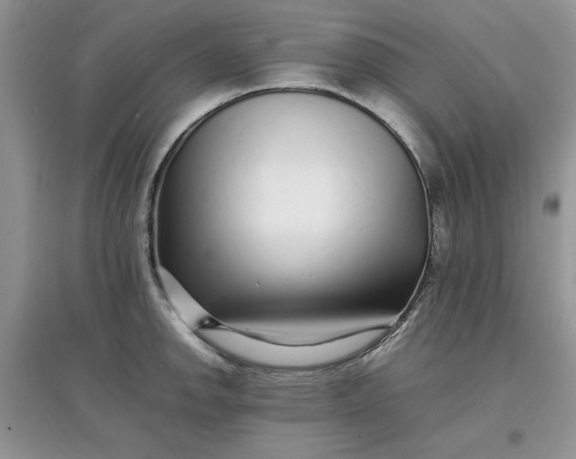 X0000097641142200803142041