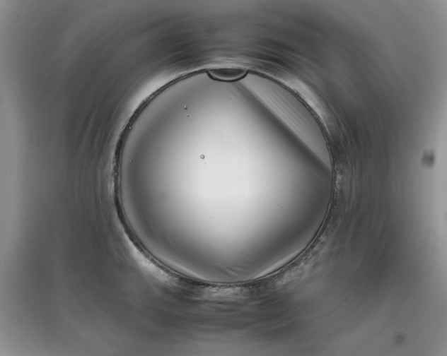 X0000097641143200803142041