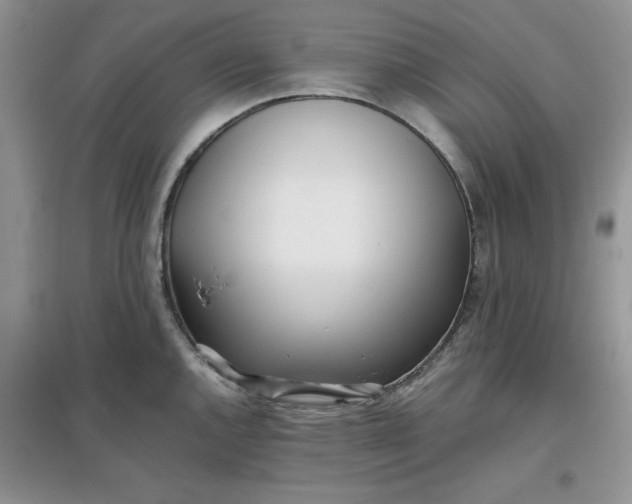 X0000097641144200803142041