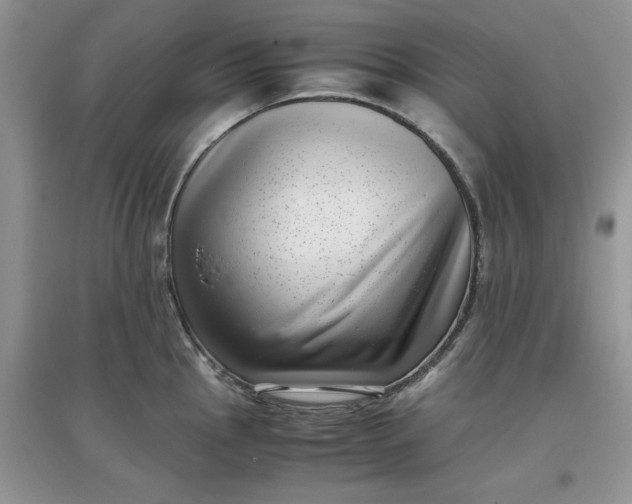 X0000097641145200803142041