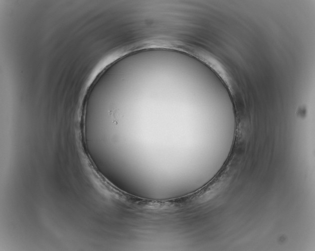 X0000097641146200803142041