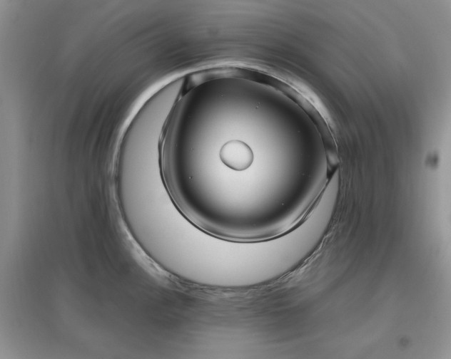 X0000097641148200803142041