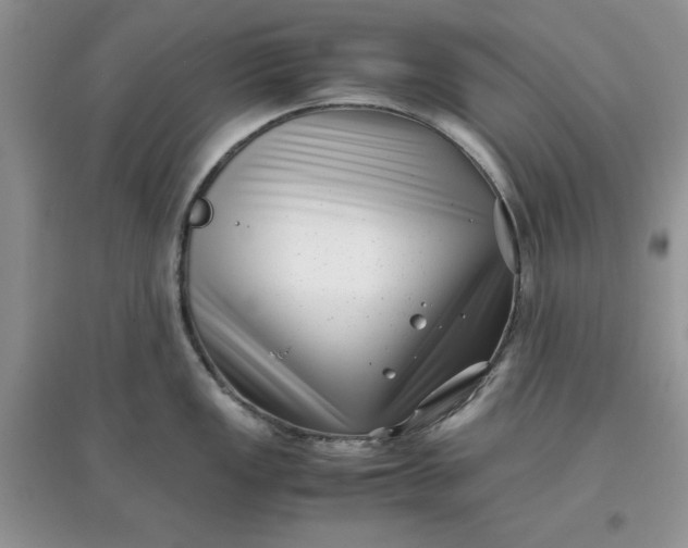 X0000097641149200803142041