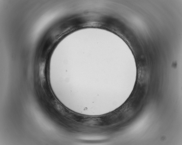 X0000097641150200803142041