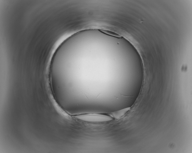 X0000097641152200803142041