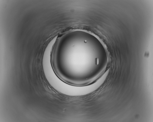 X0000097641154200803142040