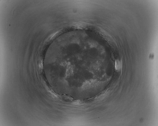 X0000097641155200803142040