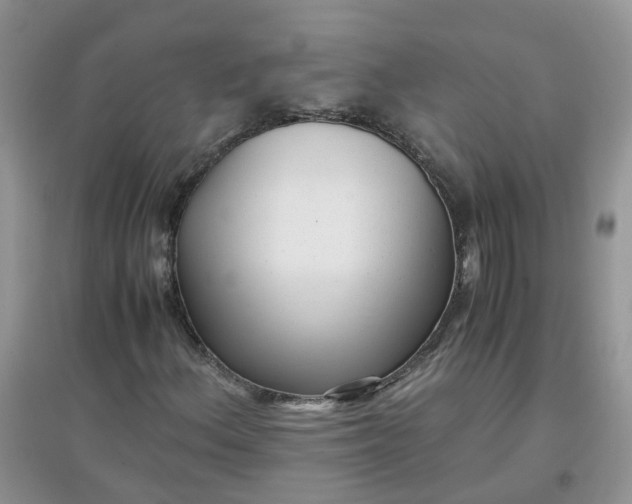 X0000097641156200803142040