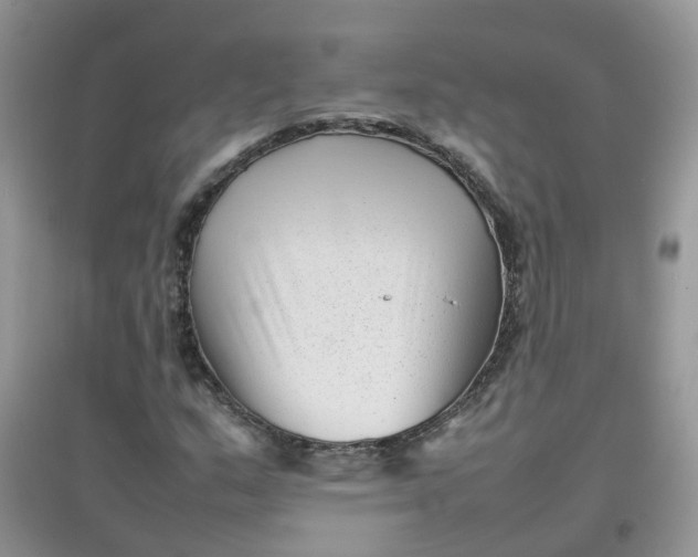 X0000097641159200803142040