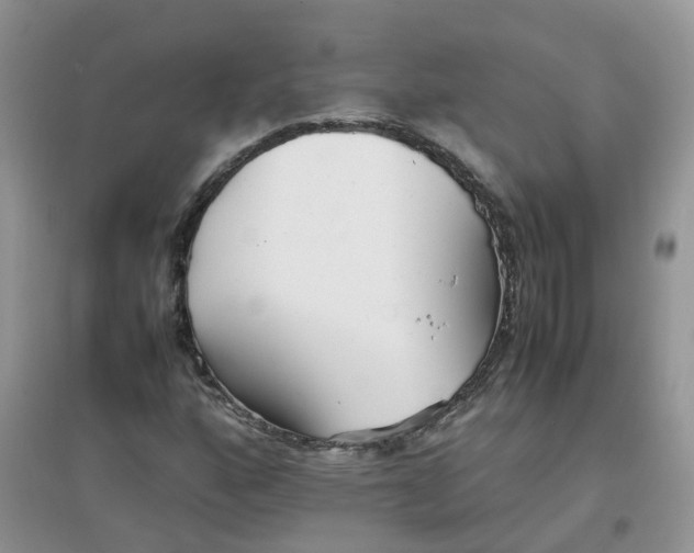 X0000097641160200803142040