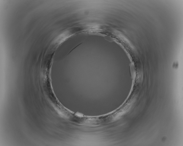 X0000097641161200803142040