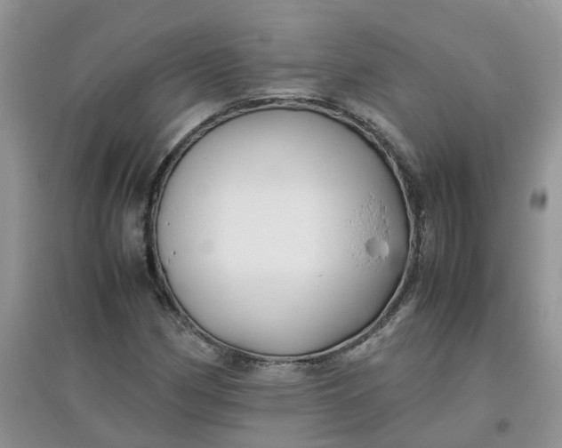 X0000097641162200803142040