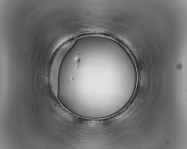 X0000097641163200803142040