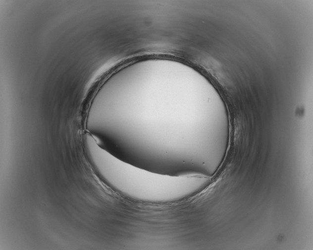 X0000097641164200803142040