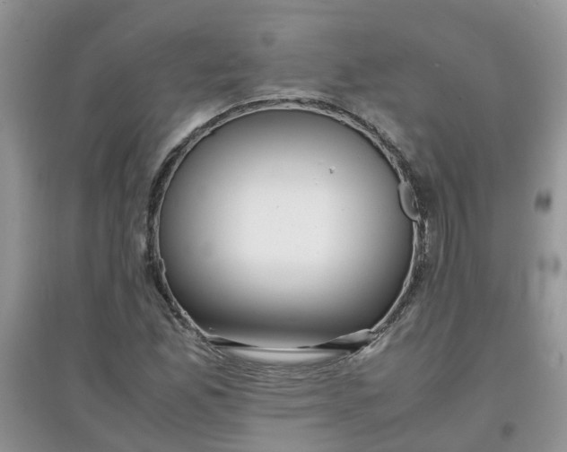 X0000097641165200803142040