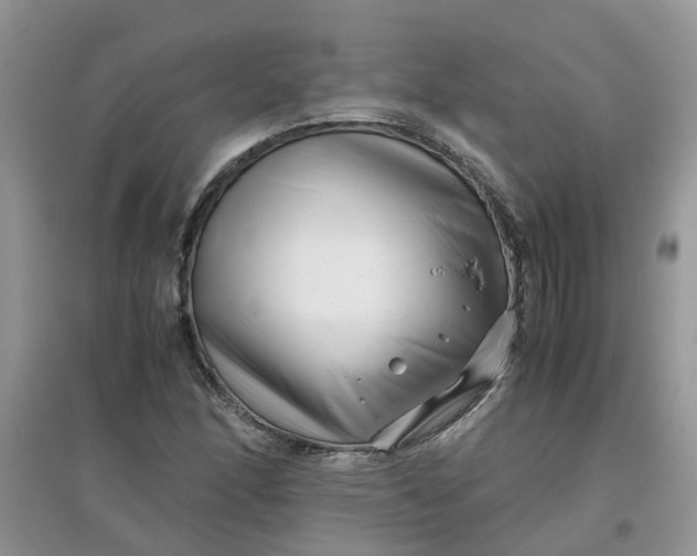 X0000097641166200803142040