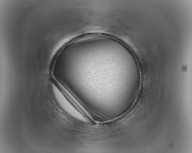 X0000097641167200803142040