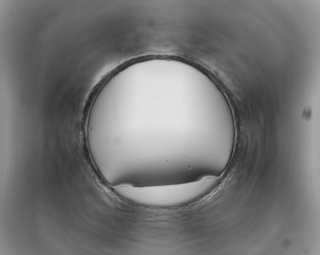 X0000097641168200803142040